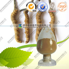 Cordyceps Sinensis Extrakt